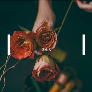 林秀芳火车卧铺最新更新内容介绍
