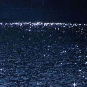 林秀芳火车卧铺最新更新内容介绍
