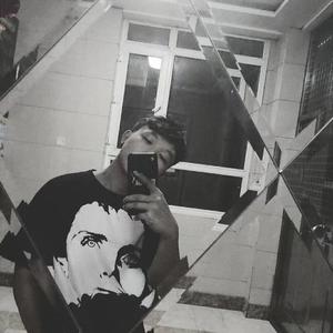 林秀芳火车卧铺最新更新内容介绍
