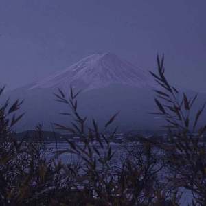 林秀芳火车卧铺最新更新内容介绍
