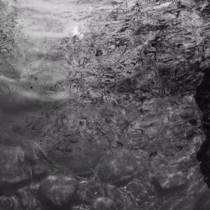 林秀芳火车卧铺最新更新内容介绍
